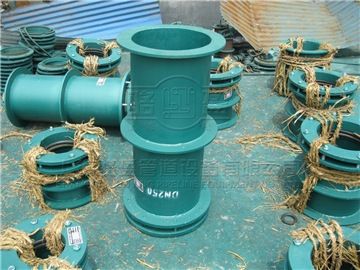 <a href=http://www.www.dxco.com.cn target=_blank class=infotextkey>防水套管</a>