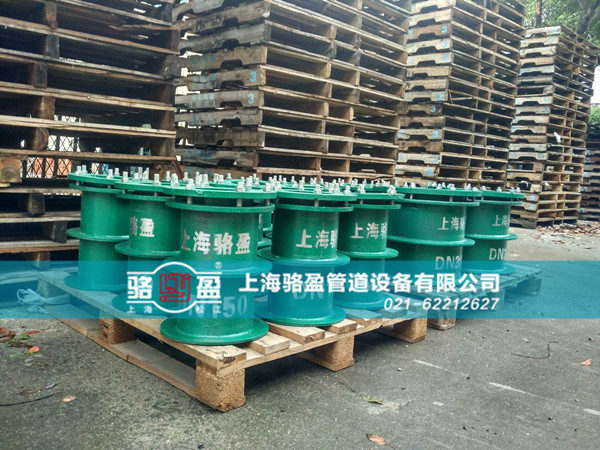 駱盈<a href=http://www.www.dxco.com.cn target=_blank class=infotextkey>防水套管</a>發(fā)貨現(xiàn)場